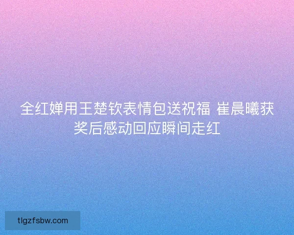 全红婵用王楚钦表情包送祝福 崔晨曦获奖后感动回应瞬间走红