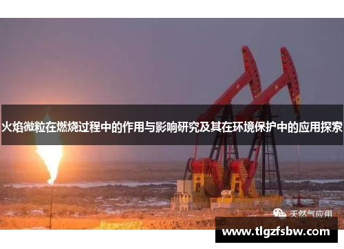 火焰微粒在燃烧过程中的作用与影响研究及其在环境保护中的应用探索