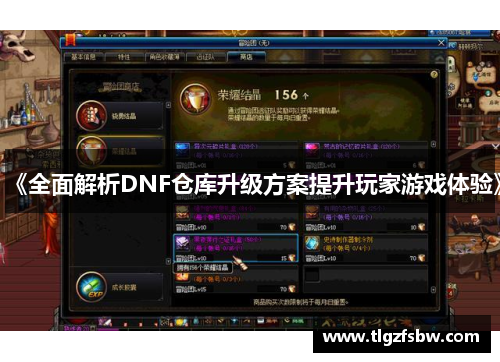 《全面解析DNF仓库升级方案提升玩家游戏体验》