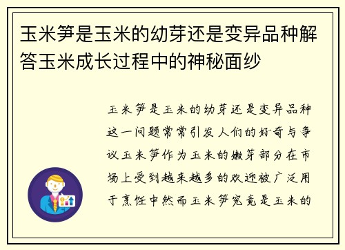 玉米笋是玉米的幼芽还是变异品种解答玉米成长过程中的神秘面纱
